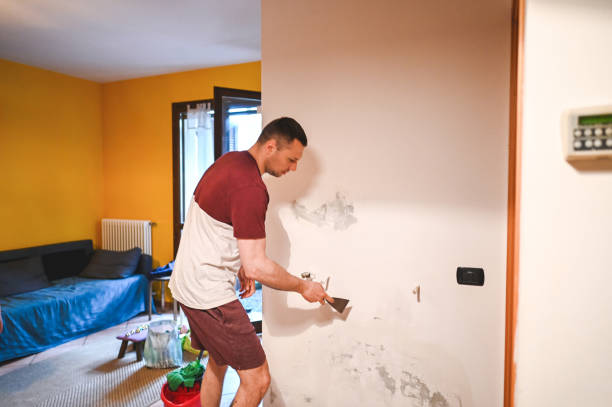Best Attic Mold Removal  in Woodinville, WA